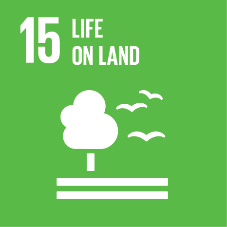 Community participation projects